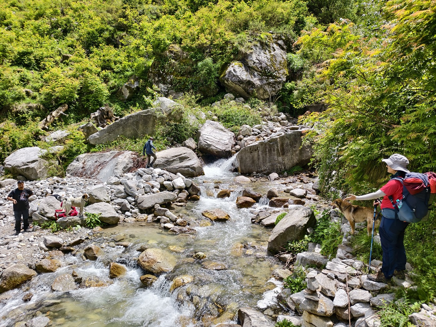 IMG 20260512 131414
