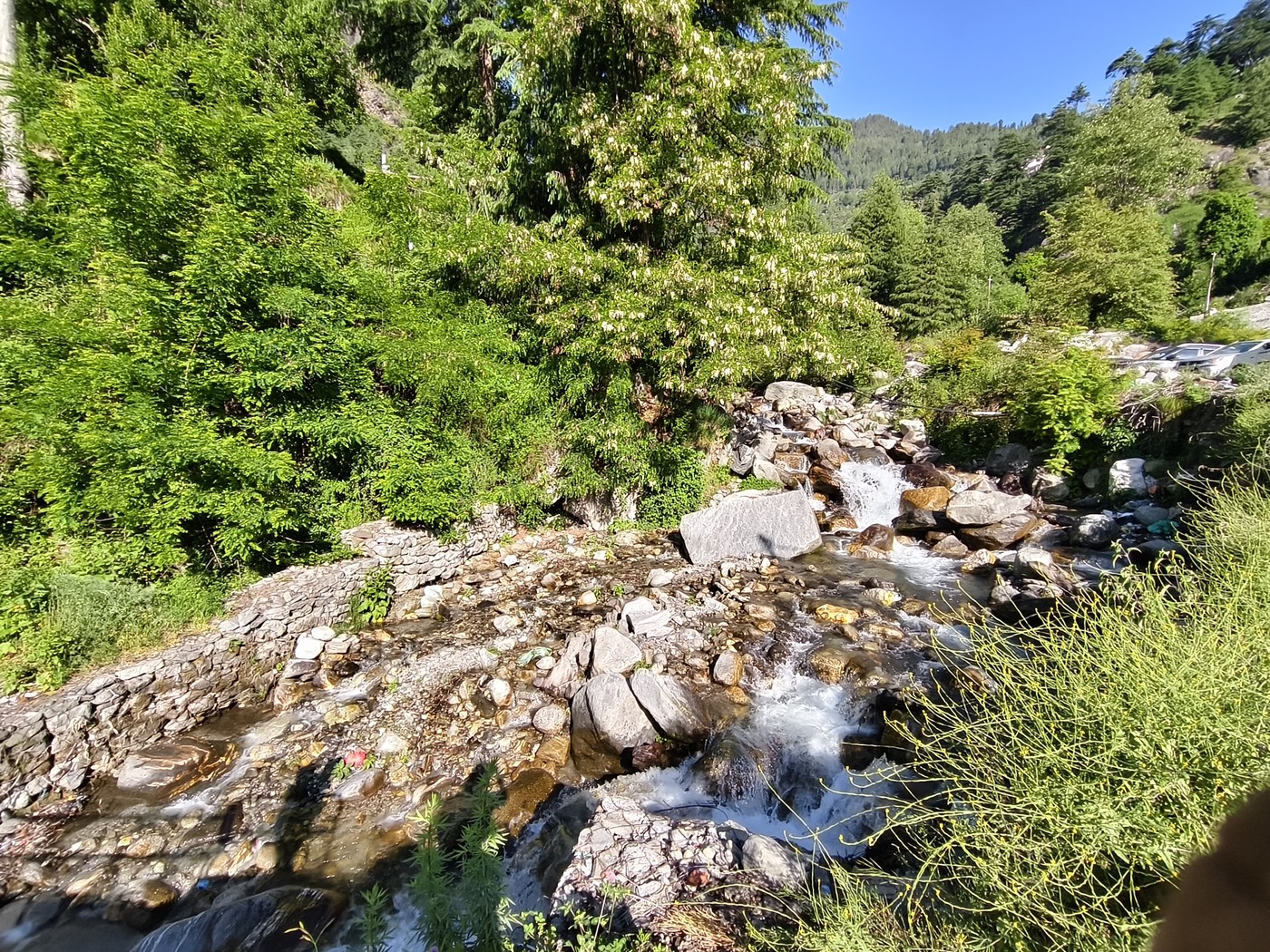 IMG 20260513 075536