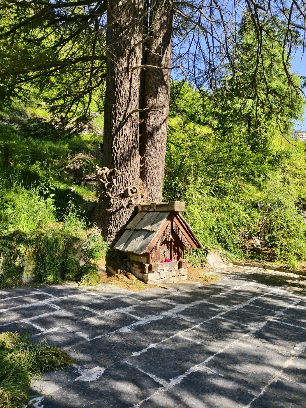 IMG 20260513 080331