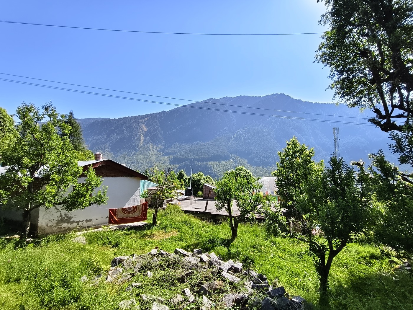IMG 20260513 090938