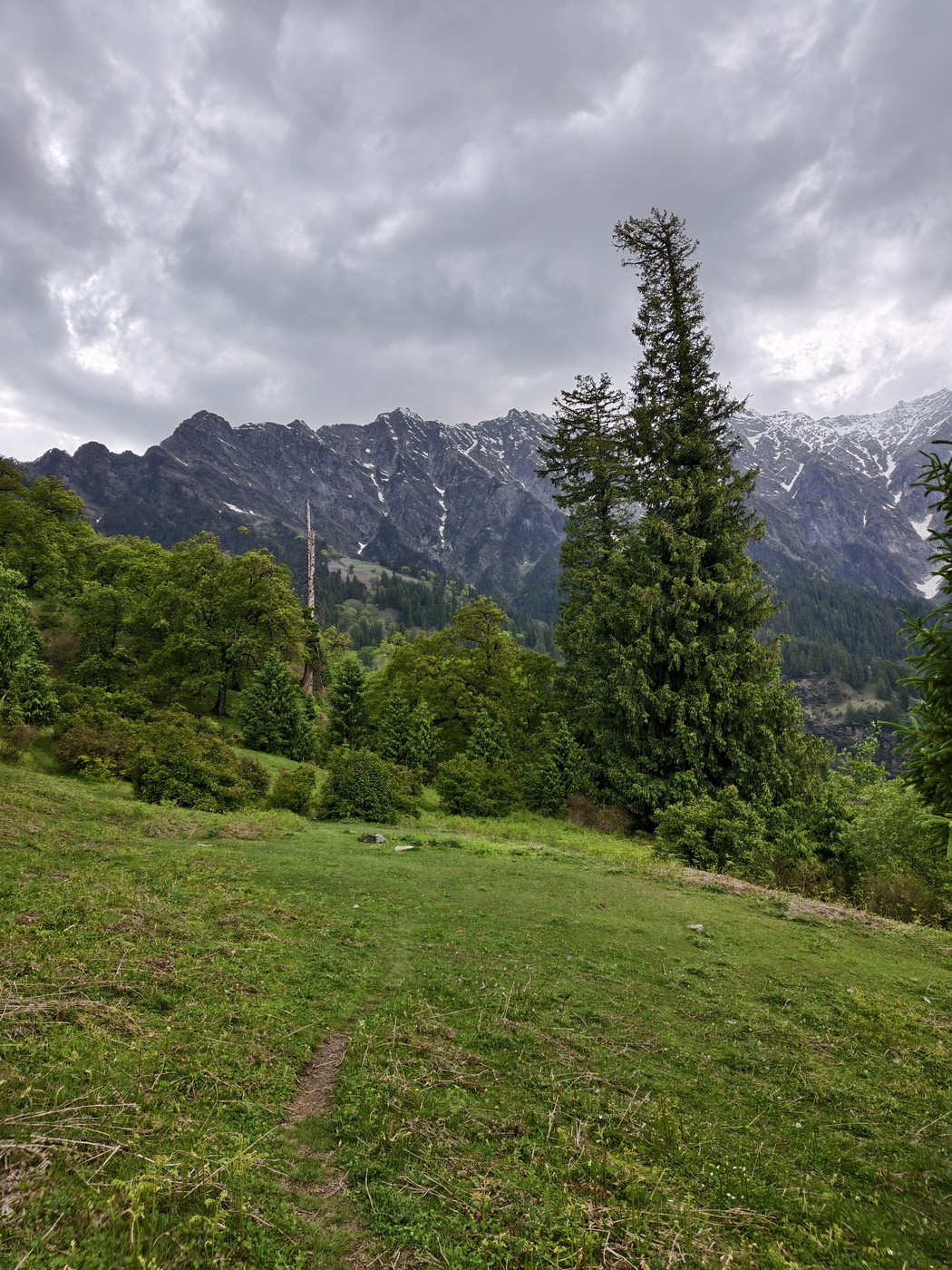 IMG 20260514 161755