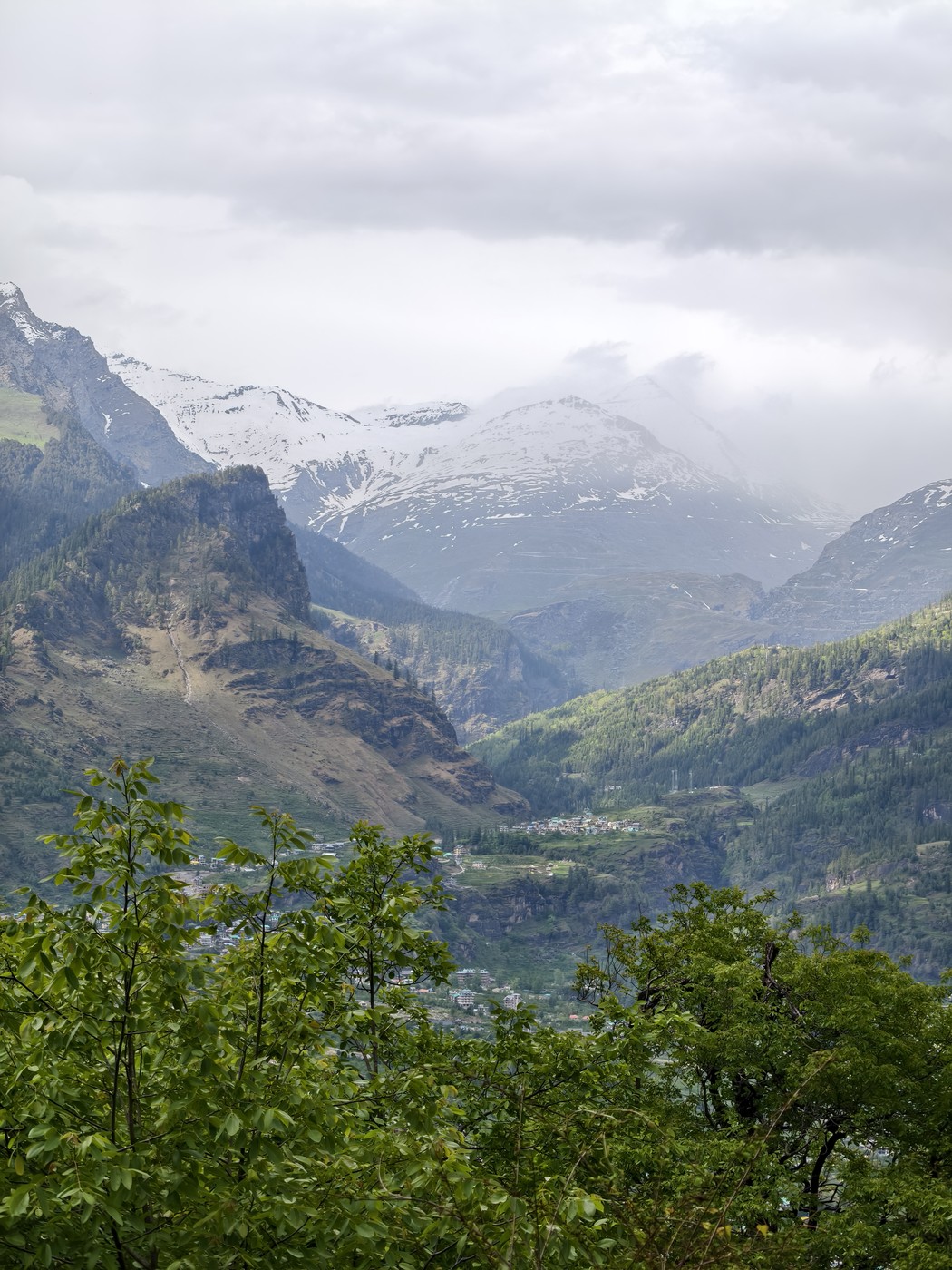 IMG 20260514 162706