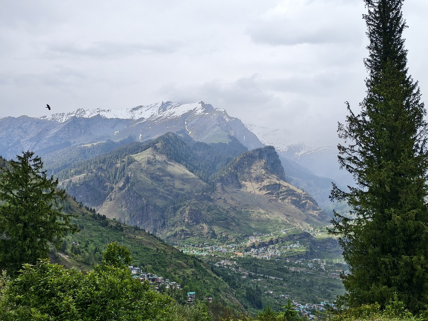 IMG 20260514 161927