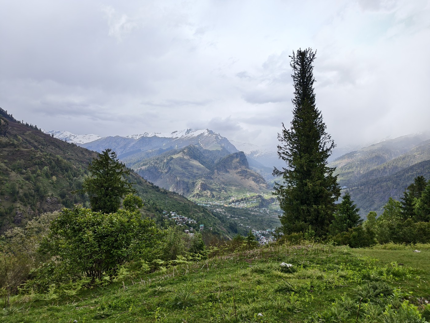 IMG 20260514 162041