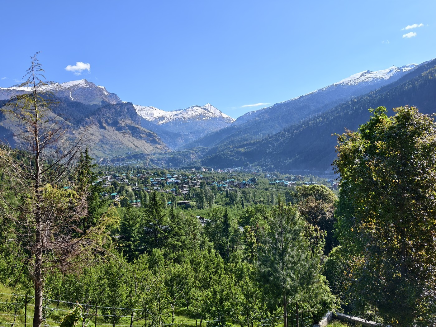 IMG 20260515 082625