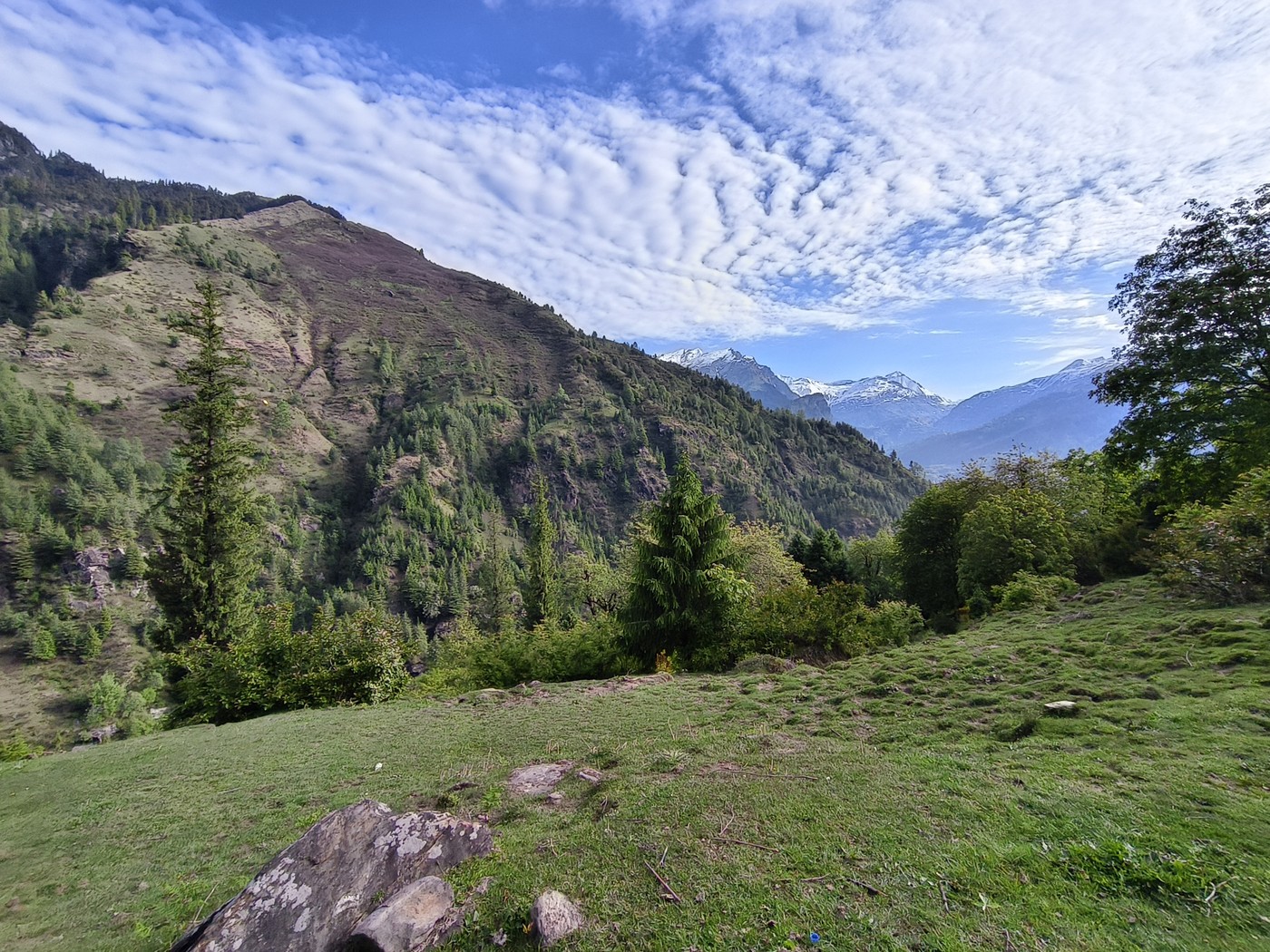 IMG 20260515 074155