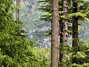 IMG 20260511 125855