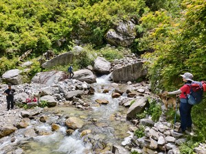 IMG 20260512 131414