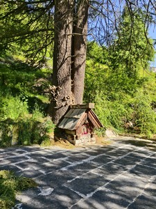 IMG 20260513 080331