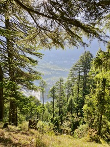 IMG 20260513 071347