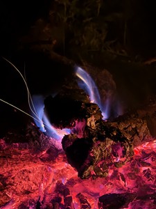 IMG 20260514 202906