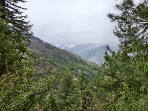 IMG 20260514 160718