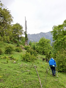 IMG 20260514 162233