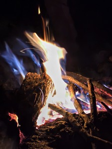 IMG 20260514 203139