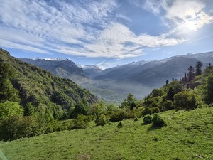 IMG 20260515 072653