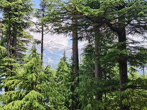 IMG 20260516 131359